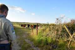 Hike Sippe Krokodil - Irland - 0050