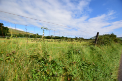 Hike Sippe Krokodil - Irland - 0074